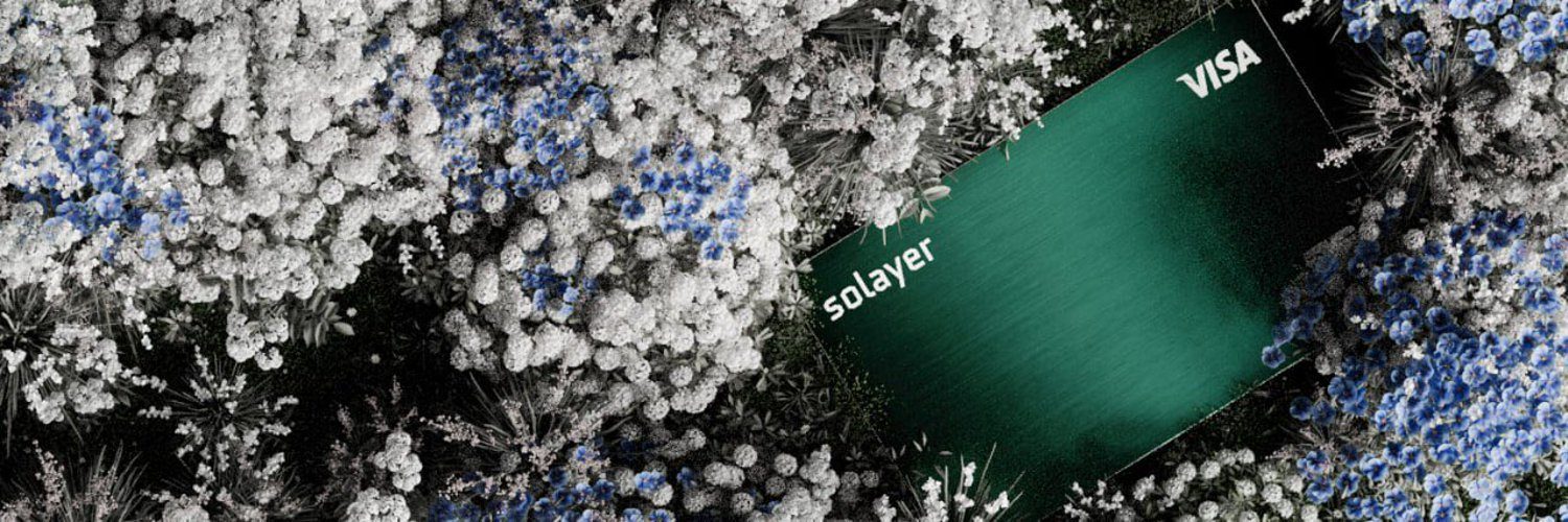 Preview of Solayer Pay