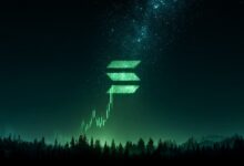 Top Solana Wallets to Copy trade with Copy Trading Tools 11