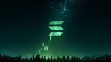 Top Solana Wallets to Copy trade with Copy Trading Tools 1