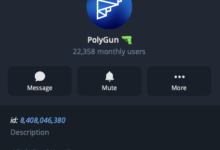 PolyGun Bot on Telegram: Polymarket Copy Trading And Sniper On Telegram 8 PolyGun Bot on Telegram: Polymarket Copy Trading And Sniper On Telegram 7